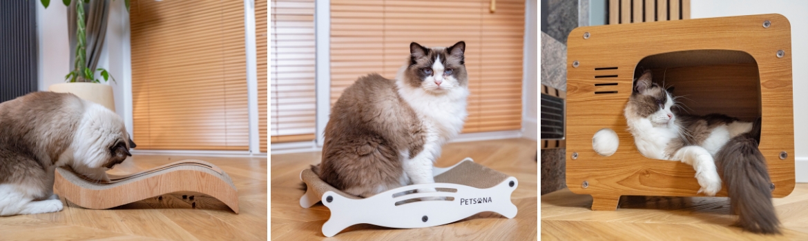 Katzenkratzer
