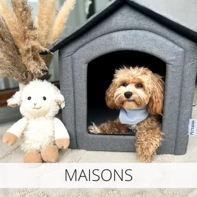 Maisons