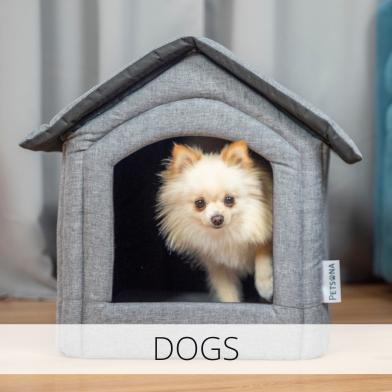 dogs