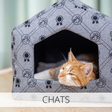 chats
