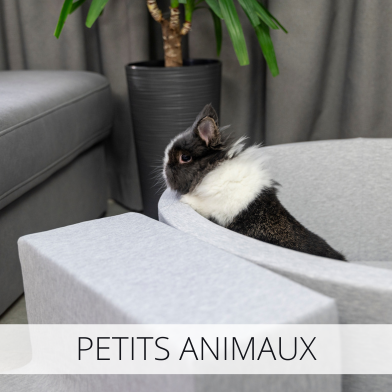 petits animaux