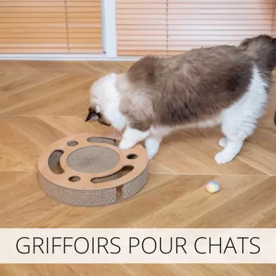 Griffoirs pour chats