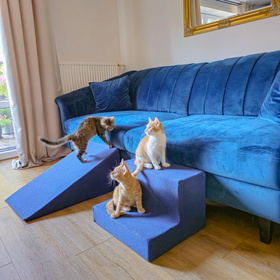 Petsona Rampe pour Chien et Chats Animaux Rampe pour Canapé et Lit Rampe avec Housse Amovible, bleu foncé