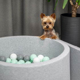 Petsona Weiche Hundepool aus Schaumstoff, Hundeplanschbecken mit bunten Bällen, Spielbereich für Hunde und Katzen, Abnehmbarem Waschbarem Bezug, hellgrau: blau/gelb