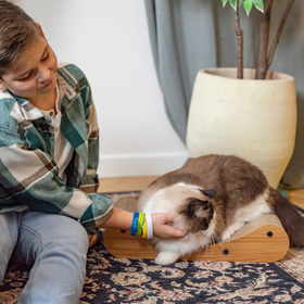 Petsona Kratzbrett für Katzen Natürlicher Katzenkratzer Spielplatz Kratzpappe & Kratzteppich für Katze Katzenspielzeug Selbstbeschäftigung, natürlich