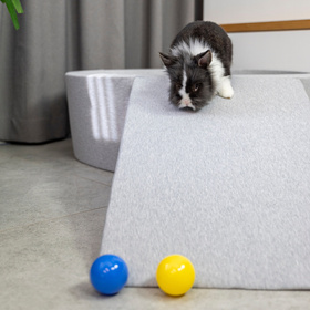 Petsona Dogs Ramp for Bed or Sofa, Foam Steps for Dogs and Cats, Pet Soft Ladder, Removable and Washable Cover, light grey