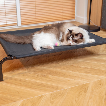 Petsona Lit Pour Chiens Et Chats - Surélevé, Résistant Aux Mordillements Et Durable - Lit Surélevé Pour Chiens - Hamac Confortable Pour Animaux Pour Une Relaxation Ultime, noir