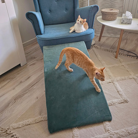 Petsona Piankowy plac zabaw DLA ZWIERZĄT PPZZ-221 Zabawka plac zabaw, zieleń lasu