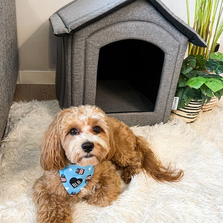 Petsona Haustierhütte Hundehütte Katzenhütte Hundebett für Drinnen Zubehör Für Haustiere, grau