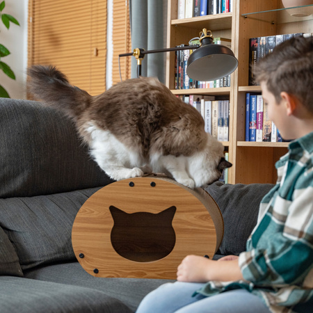 Petsona Kratzbrett für Katzen Natürlicher Katzenkratzer Spielplatz Kratzpappe & Kratzteppich für Katze Katzenspielzeug Selbstbeschäftigung, natürlich