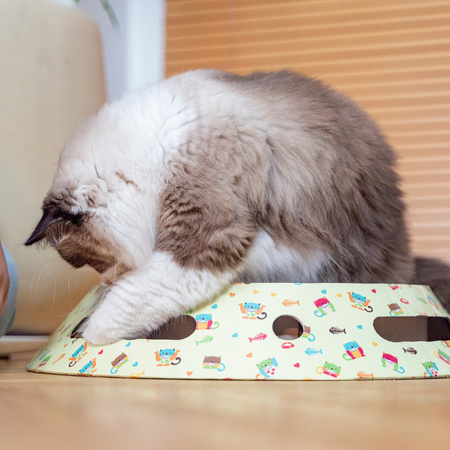 Petsona Kratzbrett für Katzen Natürlicher Katzenkratzer Spielplatz Kratzpappe & Kratzteppich für Katze Katzenspielzeug Selbstbeschäftigung, natürlich