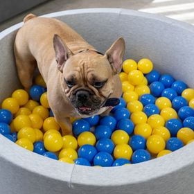 Petsona Weiche Hundepool aus Schaumstoff, Hundeplanschbecken mit bunten Bällen, Spielbereich für Hunde und Katzen, Abnehmbarem Waschbarem Bezug, hellgrau: grau/weiß/babyblau
