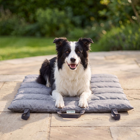 Petsona PET-MT-KWXL, gris