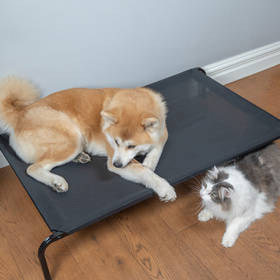 Petsona Lit Pour Chiens Et Chats - Surélevé, Résistant Aux Mordillements Et Durable - Lit Surélevé Pour Chiens - Hamac Confortable Pour Animaux Pour Une Relaxation Ultime, noir