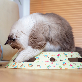 Petsona Kratzbrett für Katzen Natürlicher Katzenkratzer Spielplatz Kratzpappe & Kratzteppich für Katze Katzenspielzeug Selbstbeschäftigung, natürlich