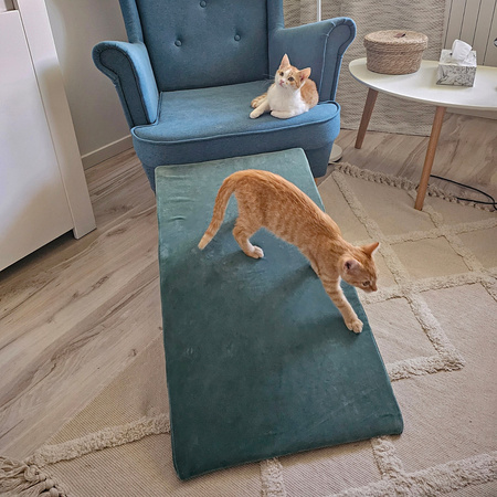 Petsona Piankowy plac zabaw DLA ZWIERZĄT PPZZ-221 Zabawka plac zabaw, zieleń lasu