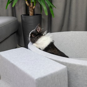 Petsona Piscine pour Chien À Balles Baignoire pour Chien Chat Animal Ronde en Mousse, gris clair